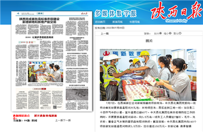 尊龙凯时西北集团珑樾府项目高温慰问——《陕西日报》